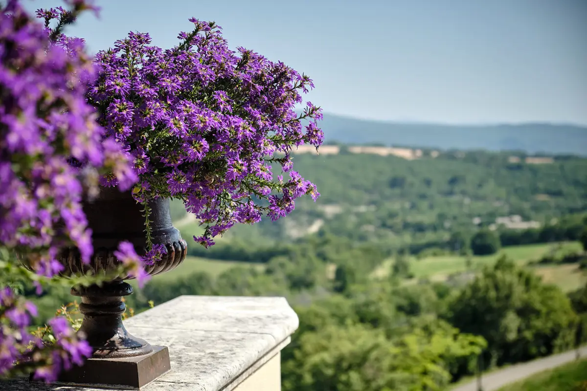 Terrasse et Piscine à la Bastide de Caseneuve